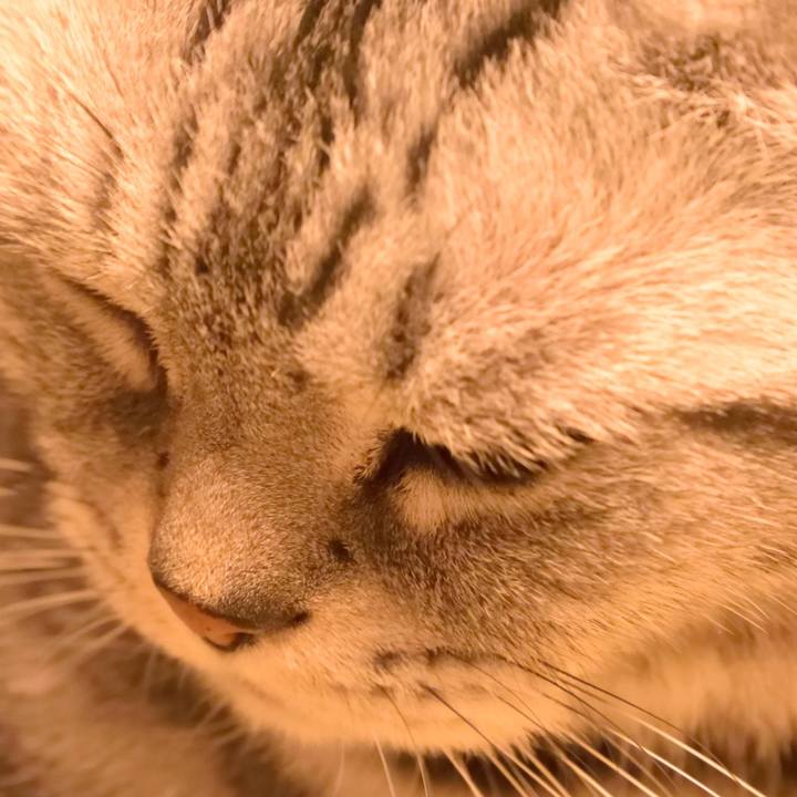 8a5188c2 8ec6 4235 b428 42a24c44f94c