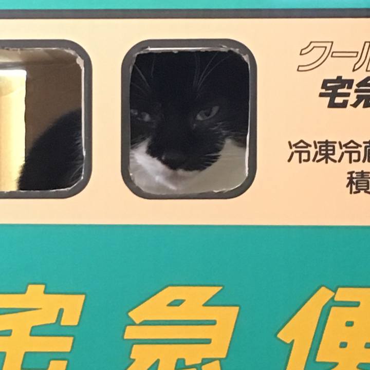 8a519b58 99a4 4365 997e 3509c7247e4a