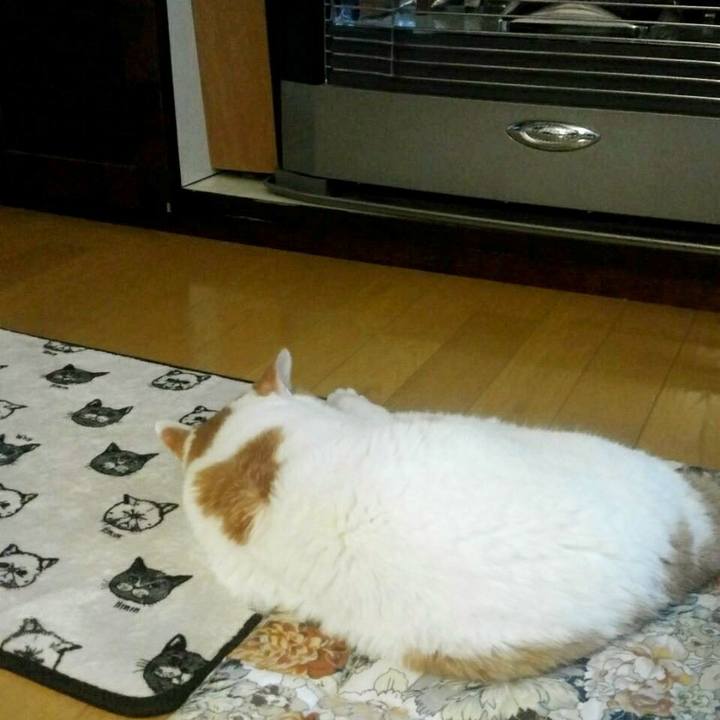 8a51ccf8 3c09 44b3 b78a 9a8da813f8a9