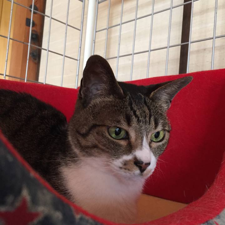 8a525995 7119 4801 b876 0f2fb857c4b0