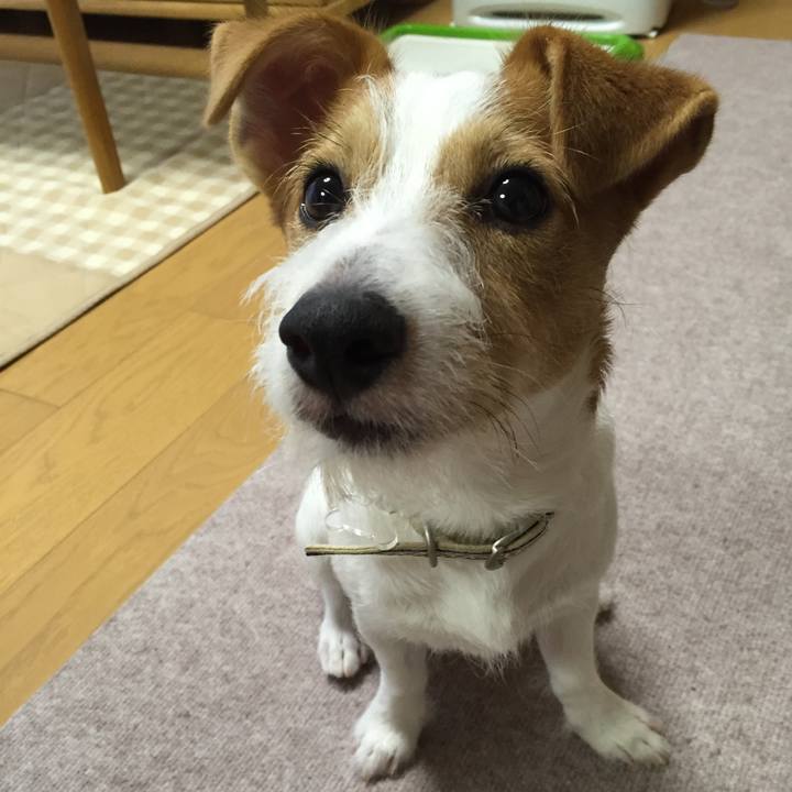 8a52fe3c 0d73 42b8 a18e 0fae641206cd