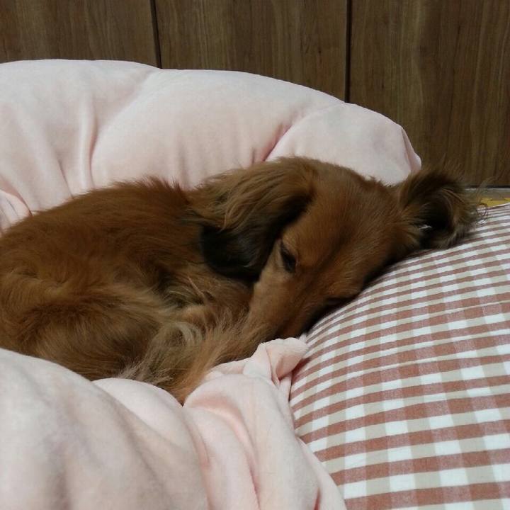 8a535583 6695 4b32 a015 7eab43f641a4