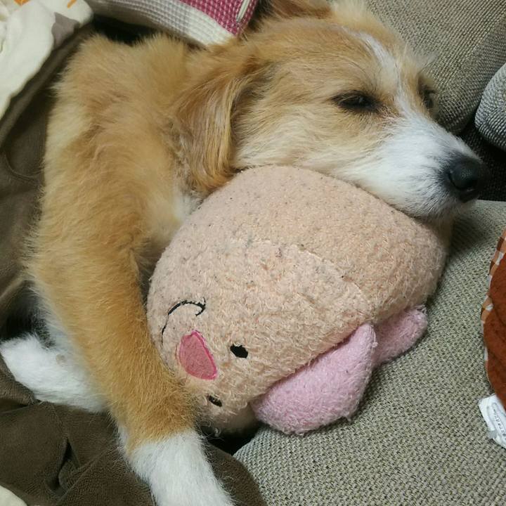 8a539af3 5c89 41e4 9785 7ecd8f753846