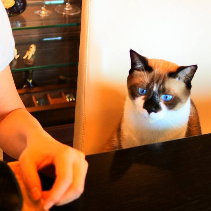 8a53cbb0 d872 44e2 9bf9 96550cac1af5