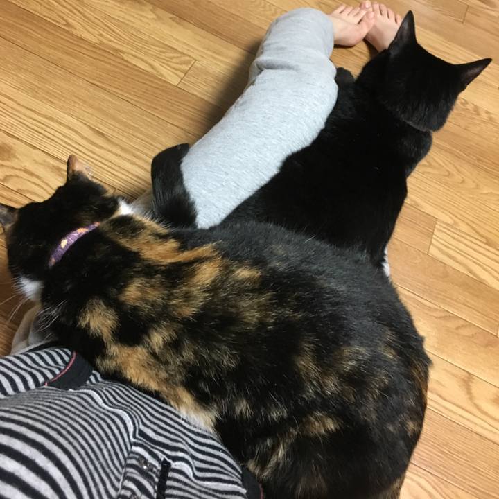 8a549894 6e59 490a 9bca 3b8816188642