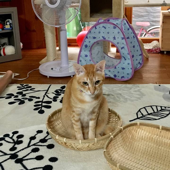 8a5567fc 3ed3 4a60 b44b 15c463191deb