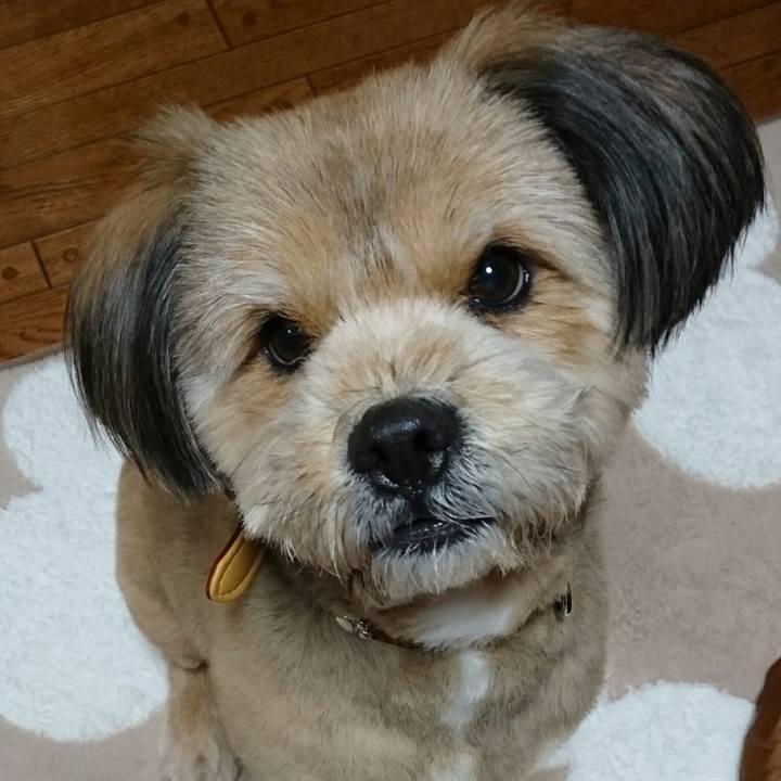 8a55839b 7e2f 433f 8059 dd892af8dad0