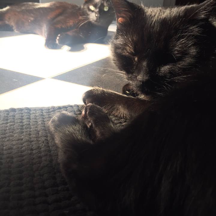 8a5591ba 9983 47a1 add2 31423c0017d9