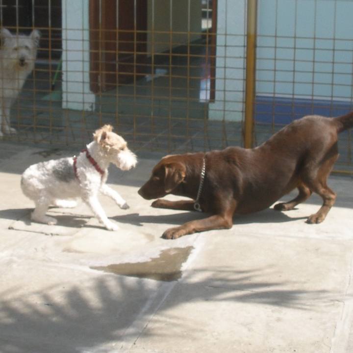 8a55cf4c 674f 4bfa 99b6 a5414055d184