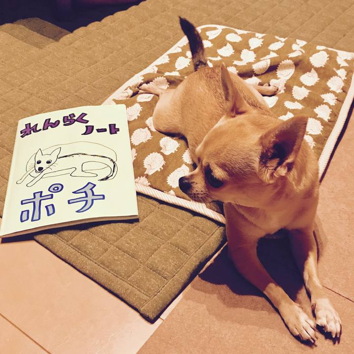 8a56b535 f12d 4739 9c08 d73dc62279bb