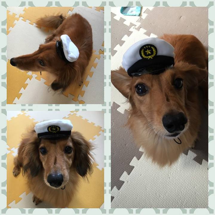 8a56dee8 ec01 440d a00c 2e306fc3b8f9