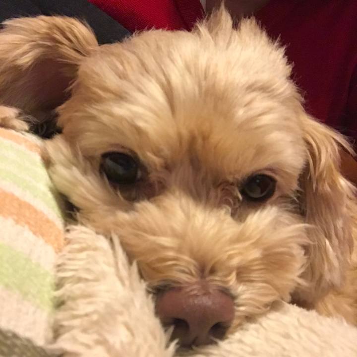 8a576892 8dde 441b 9631 c72f47229e0d