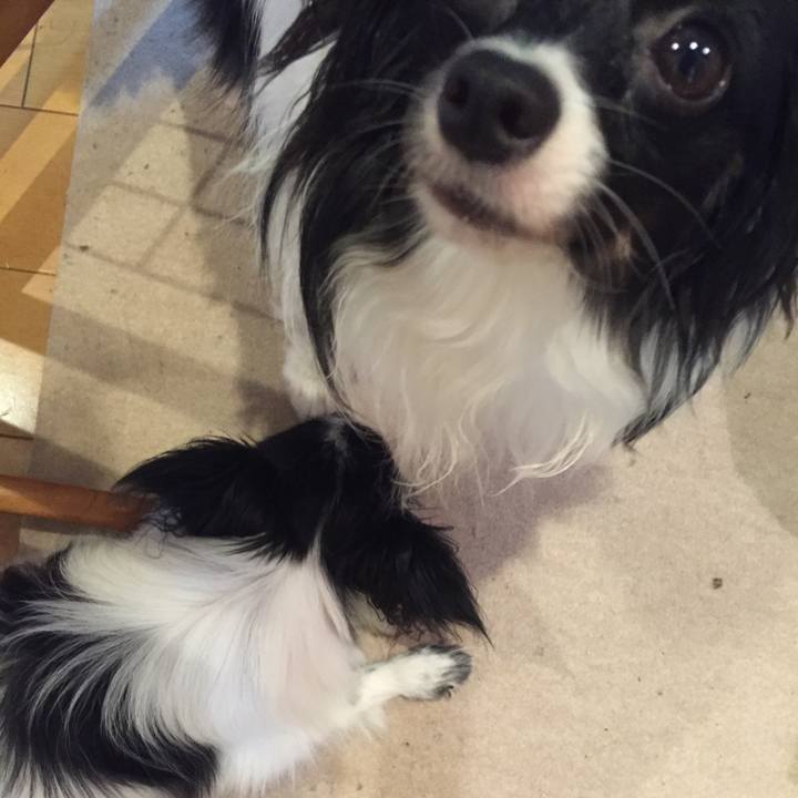 8a5881b0 3ed9 4aaf 8974 73c32fc9fc6b