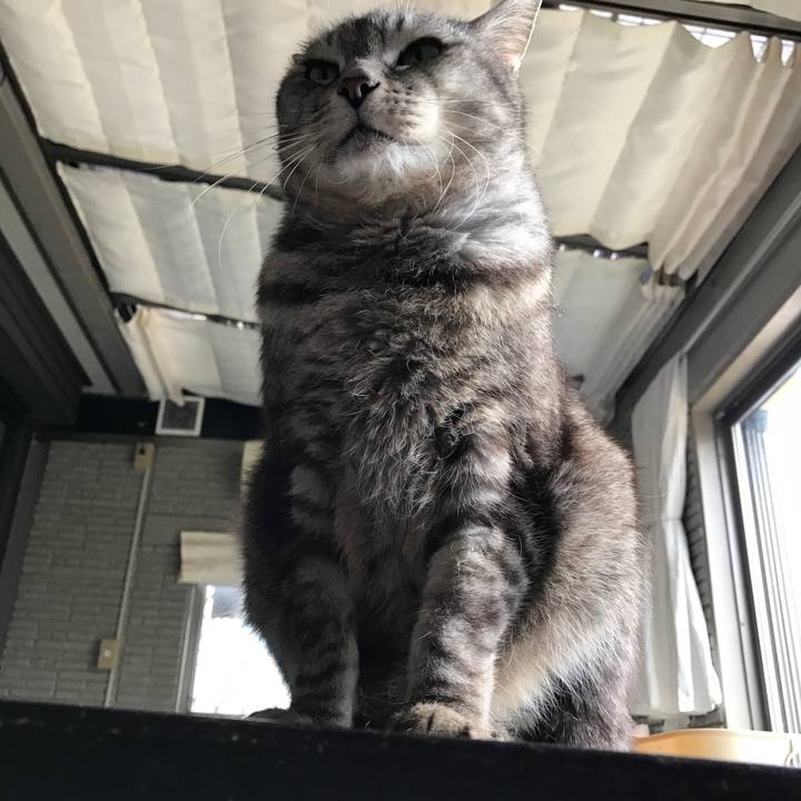 8a598417 638b 436c abfa bcb012511d69