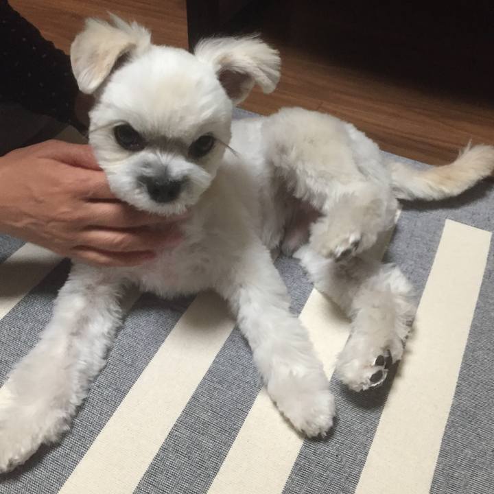 8a5a2e2e 6715 4cba 8b8b e00aaffd0176