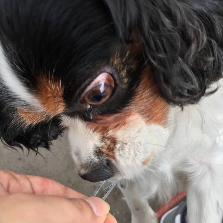 8a5a9f84 67b7 454c 8561 3d7c23b760a4