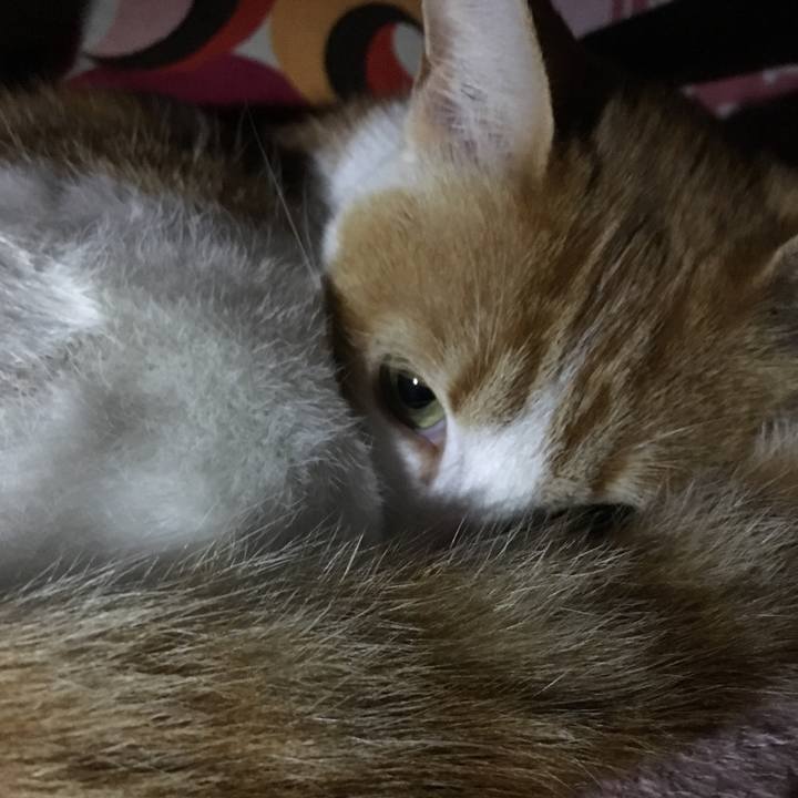 8a5aa4a3 646b 4c90 b364 39ce52a8f670