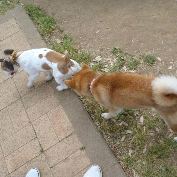 8a5b03ce 8aa7 4eea 8ccb 8ee6ee4480d4