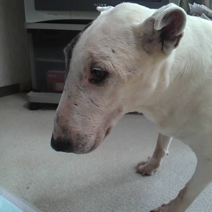 8a5b2ada 0772 4f20 98bb 570bc72defa0