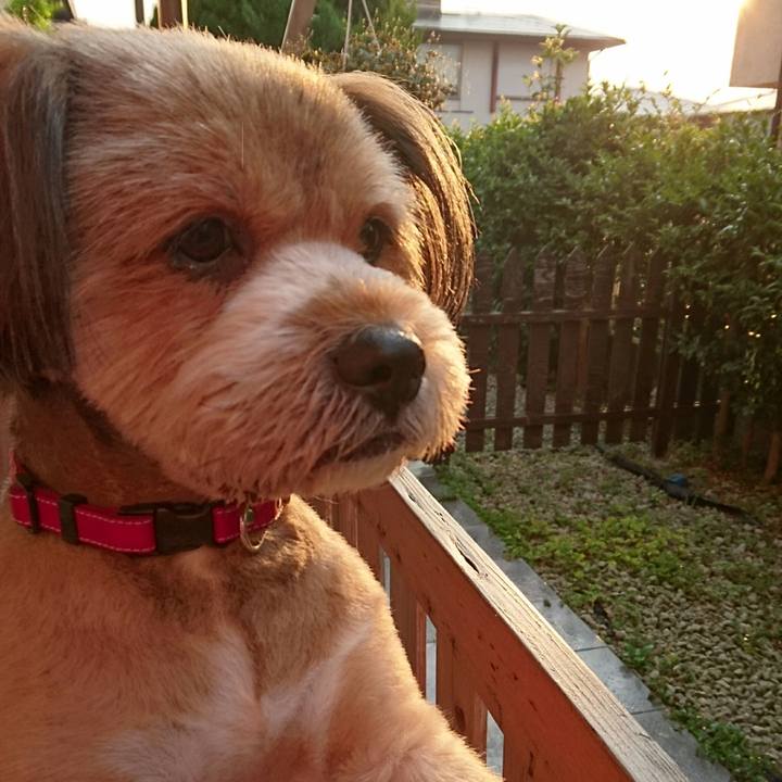 8a5c1eda 2189 4e23 9341 fd830142c2ab