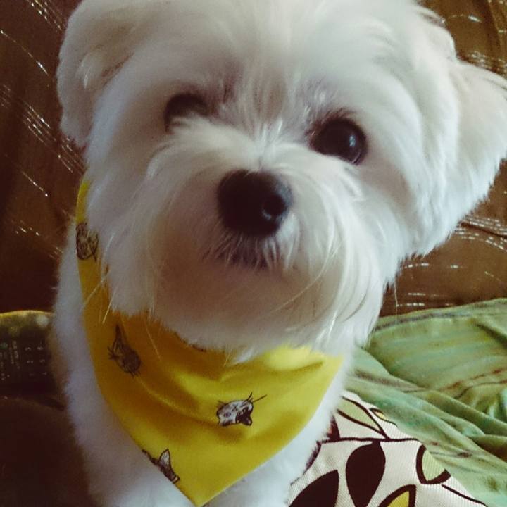 8a5cee51 debc 413a b5f9 a8c071daf260