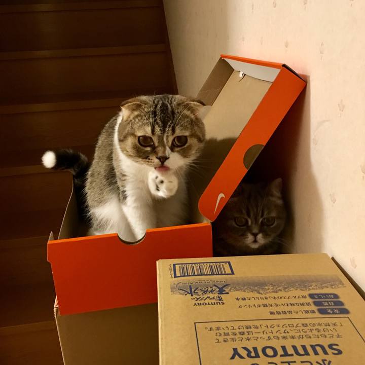 8a5d31a2 58b4 49d4 b284 4dba5da156ee