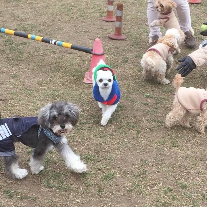 8a5d4ad4 64a2 4d50 95f6 6ab1a0efe412