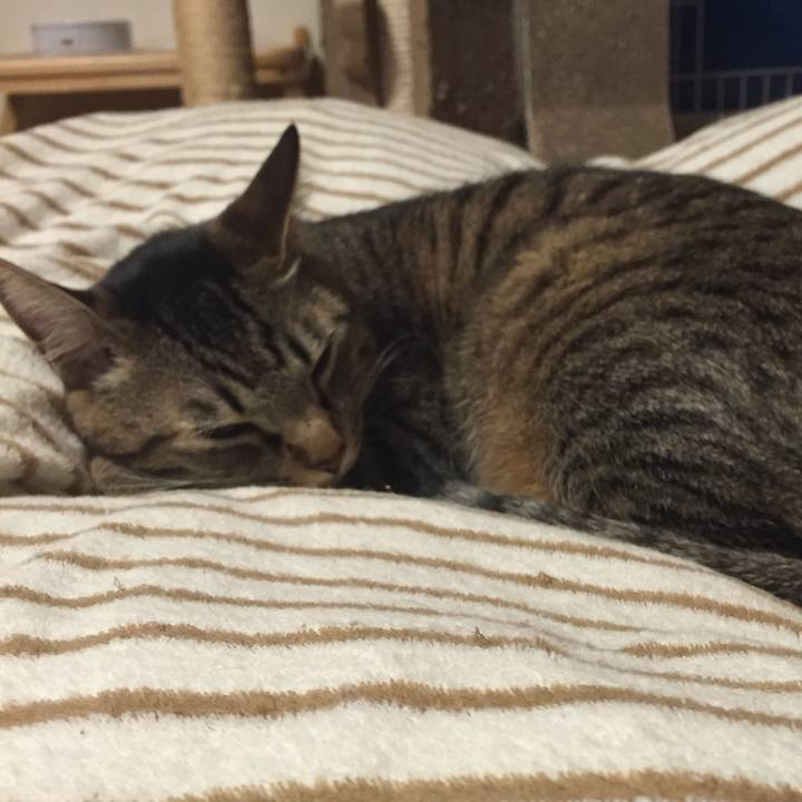 8a5e6da7 162e 4276 ba84 3b6787cb32dc