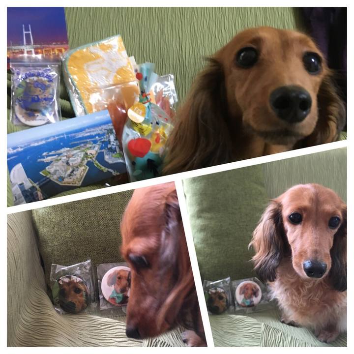 8a5eec73 eea3 46e5 bd77 3ded4c15e061