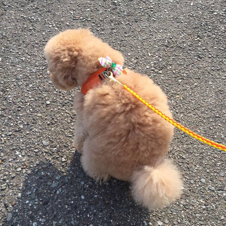 8a5f226d 524d 4016 995f a9c3ee341a64