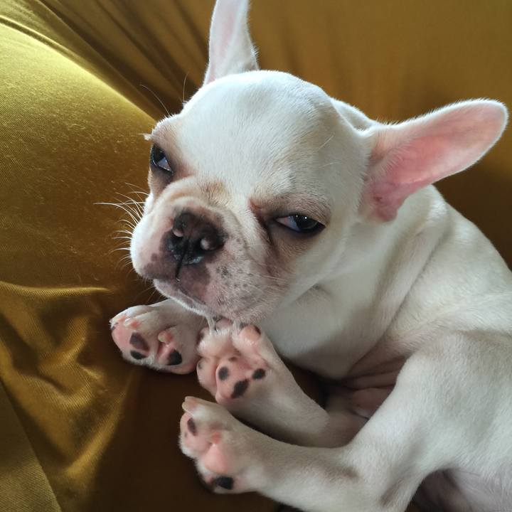 8a5f2b97 ccb3 4447 b551 912e4e4b456d