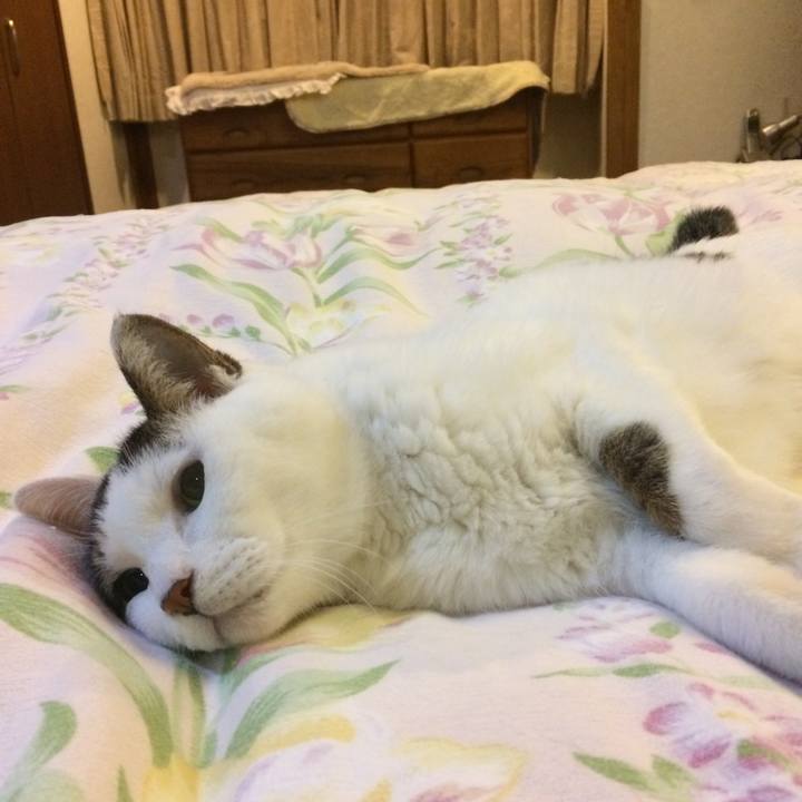 8a5f59a6 7476 4022 91ad 6f687cf18041