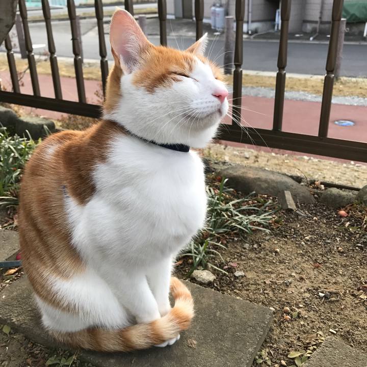 8a60060d 3223 4f53 9c86 77daa2a9f466