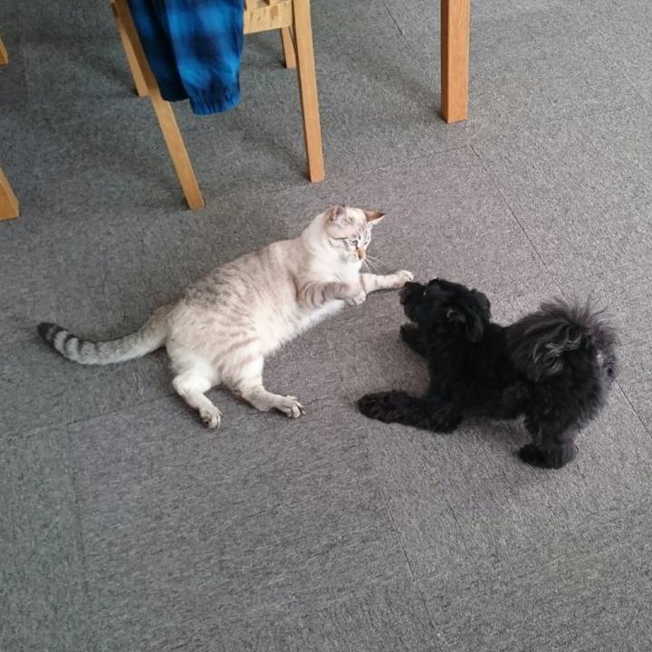 8a6043b8 5fcc 4150 bc9c 93067beaadf5