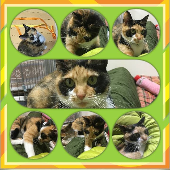 8a619737 6b47 4df0 a9c6 7aee94ac27c8