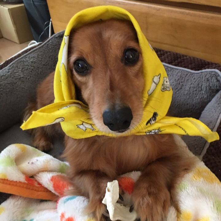 8a6202a8 b713 4602 bc41 a9a0e82a6976