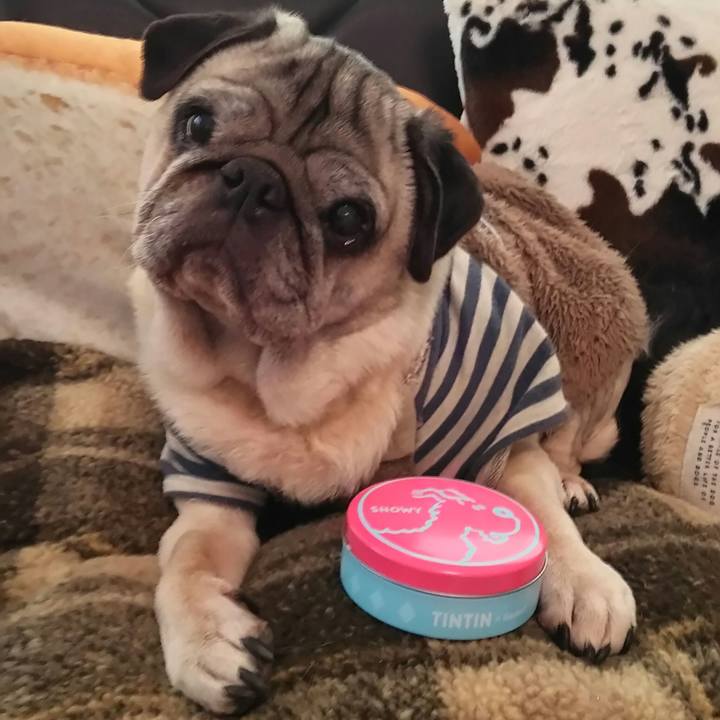 8a627ceb 3092 47c8 bec9 e841945939e8