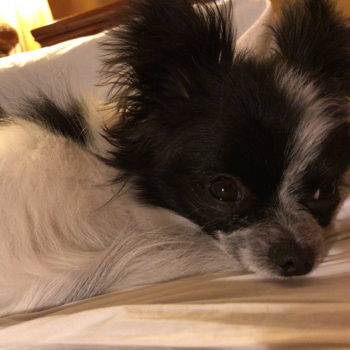 8a631a94 b0aa 4251 9e32 2f05c2685931