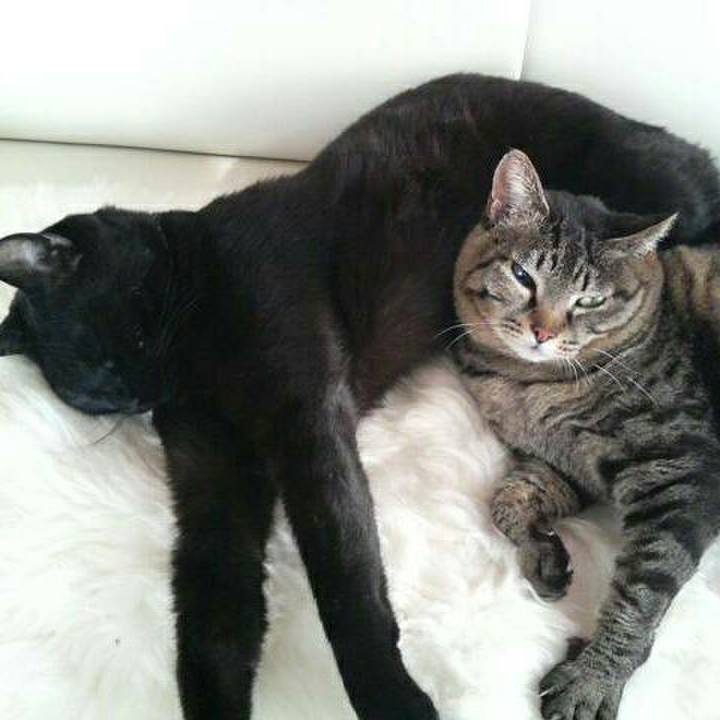 8a632554 aaaf 40d7 a73a b211a867bac6