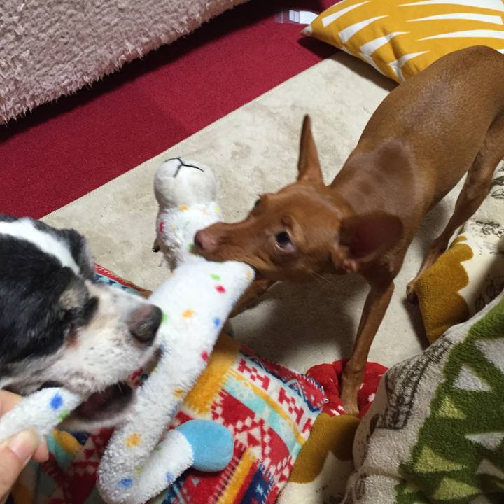 8a63b85e d31e 43ca 8581 e20df7c76937