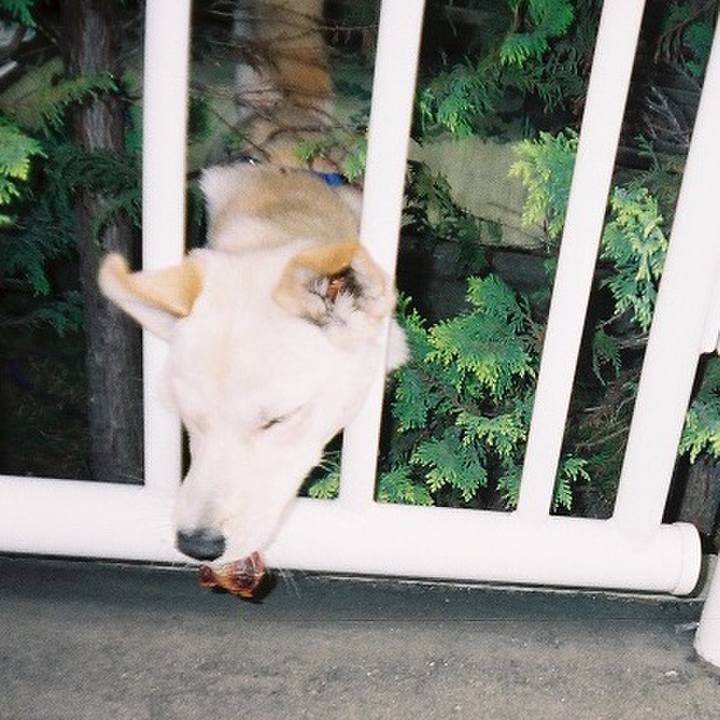 8a63edd1 1bda 4e77 8434 268b58f8e101