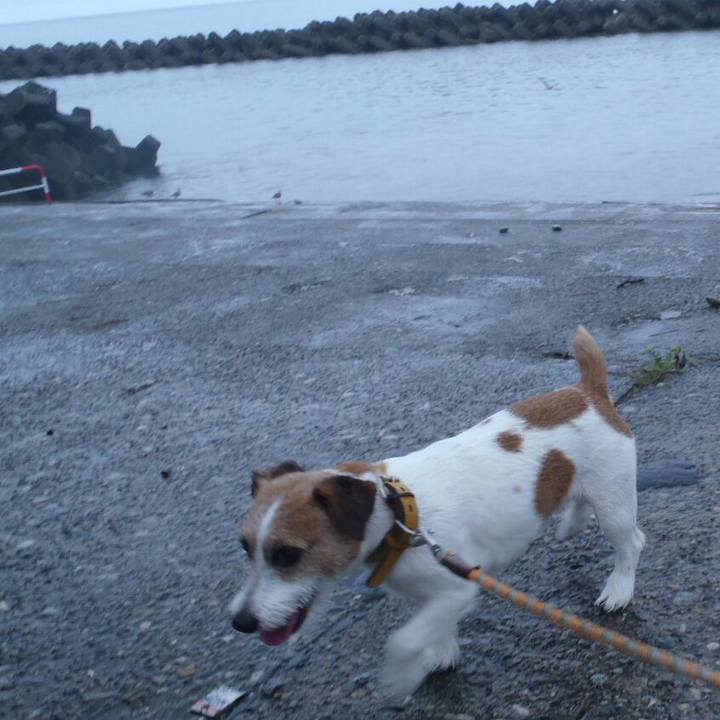 8a645a2a 3645 4ec3 aa01 e405235a1f10