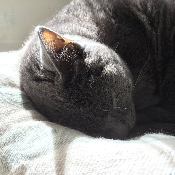 8a649d41 bd01 48d0 a5f6 5c35b8530089