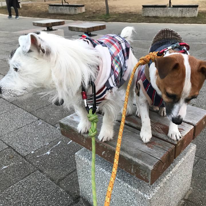 8a64af91 08aa 4f39 8023 e207380d2168