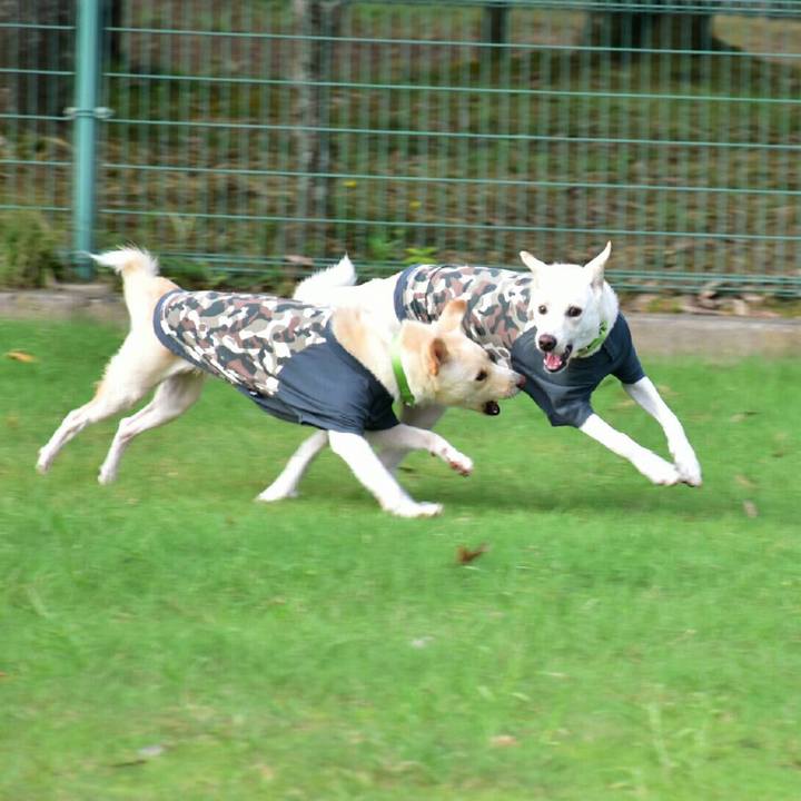 8a64bbc4 4af7 41a4 99c7 b0220a79d639