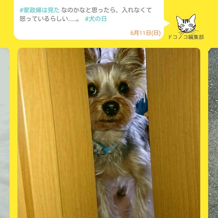 8a652983 10a0 45cb a0dc 2988f8b2d0ba