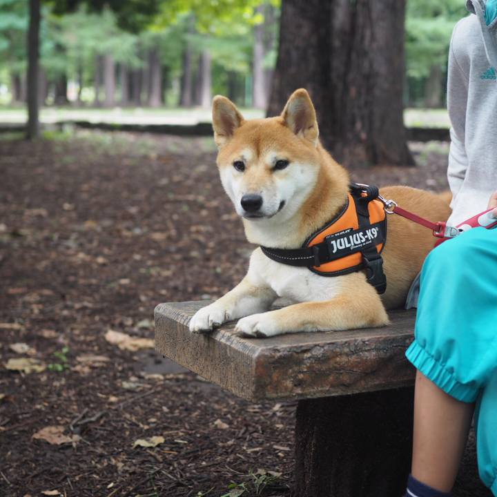 8a663b0b d46e 4482 bdf3 93c94e6cbbc7