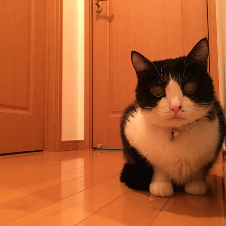 8a665dfe 7996 4a2c a9f3 458ddf81814e