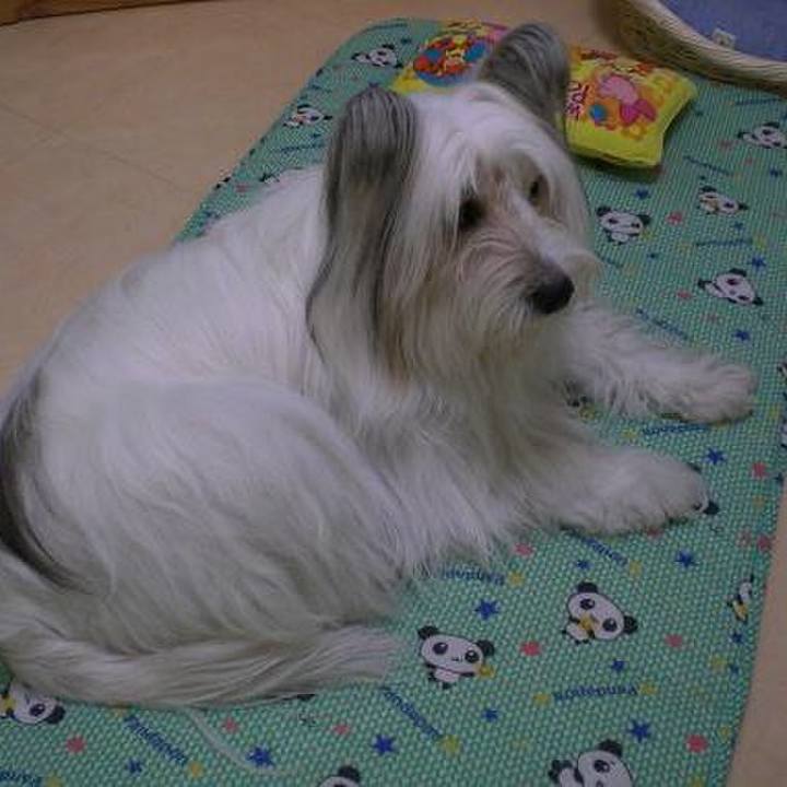 8a66bc65 cdc4 4a44 ab3b 9fd14719c2e9