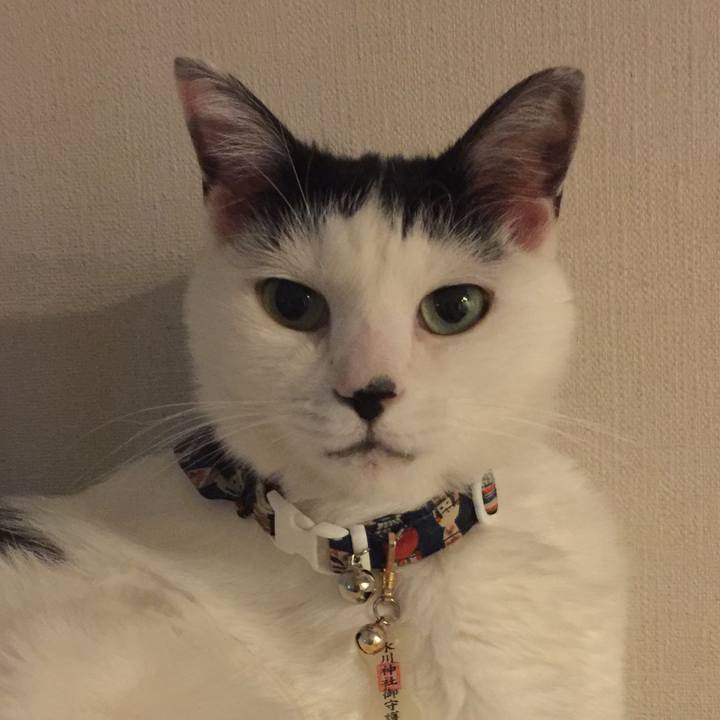 8a6730bf 97c8 4ead b864 7c05294bd7d1